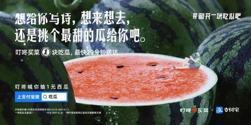 娱乐圈的吃瓜文案是什么